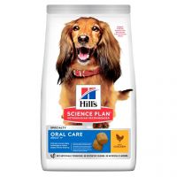 Hill