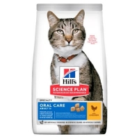 Hill