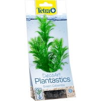 Tetra Planstastic DecoArt Green Camboba