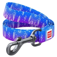 Collar WAUDOG povodac za pse Dreamcatcher