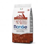 Monge Puppy i Junior All Breeds Jagnjetina 