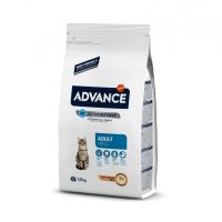 Advance Cat Adult Piletina