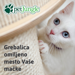 Kako odabrati pravu grebalicu