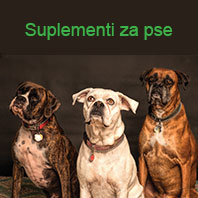 Probiotici i prebiotici