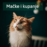 Mace i kupanje